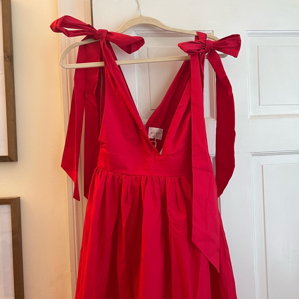 Alamour the Label Cellina Maxi Dress - Red